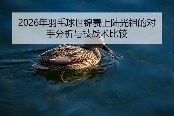2026年羽毛球世锦赛上陆光祖的对手分析与技战术比较
