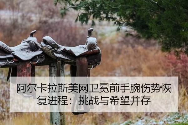 a-er-ka-la-si-mei-wang-wei-mian-qian-shou-wan-shang-shi-hui-fu-jin-cheng-tiao-zhan-yu-xi-wang-bing-cun-2-275.jpg
