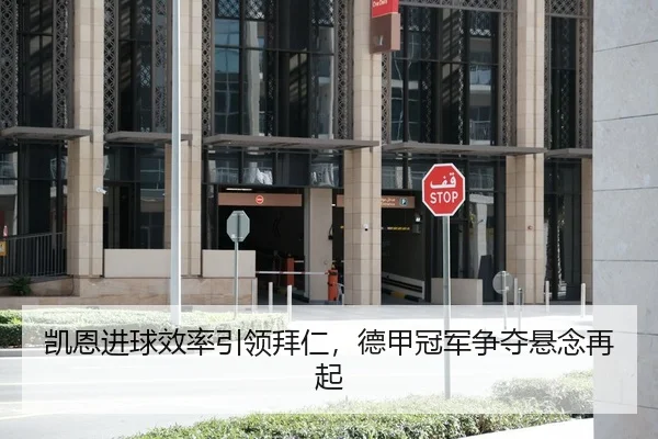 凯恩进球效率引领拜仁，德甲冠军争夺悬念再起