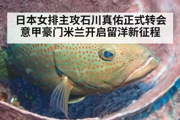日本女排主攻石川真佑正式转会意甲豪门米兰开启留洋新征程