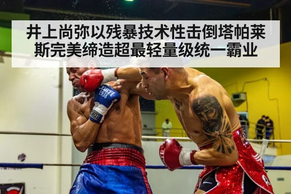 井上尚弥以残暴技术性击倒塔帕莱斯完美缔造超最轻量级统一霸业
